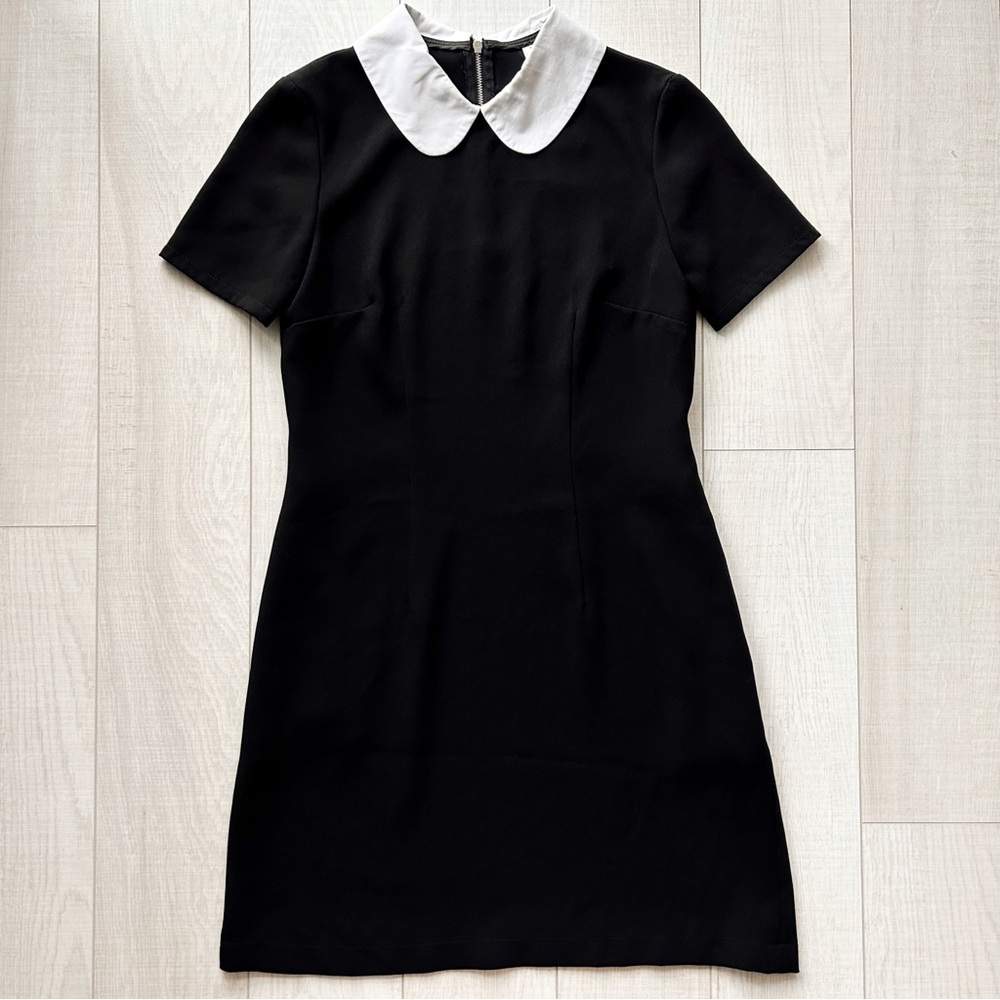Tristan black peter pan collared short sleeve mini dress